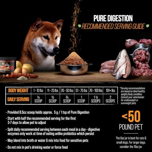 Best Paw Nutrition Probiotics for Dogs | Digestive Enzymes and Probiotics Powder | Beef Liver Flavor | Pumpkin, Turmeric and Prebiotic FOS | Gut Health Food Topper for Dogs and Cats | 6.5oz