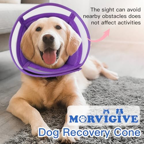 Dog Cone Collar After Surgery to Stop Licking | Adjustable Elizabethan Collar for Neutering, Lightweight Breathable Recovery Neck Cone to Prevent Biting Wounds & Hot Spots (Purple, L)