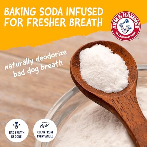 Arm & Hammer Nubbies Duality Bone Dental Dog Chew Toy, Apple Flavor, 2-Pk