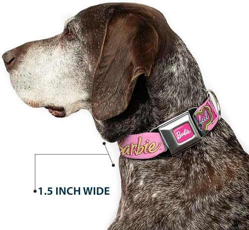 Mattel Pet Collar, Dog Collar Metal Seatbelt Buckle, Barbie Smart Beautiful Strong Icons Pink Multi Color, 11 to 16.5 Inches 1.0 Inch Wide