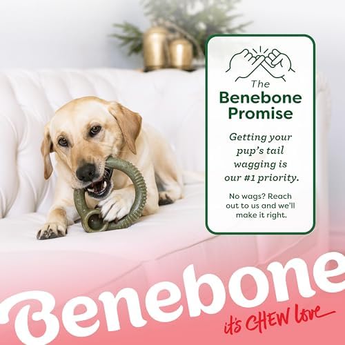 Benebone Ring Dog Chew Toy for Aggressive Chewers, Peppermint, Small