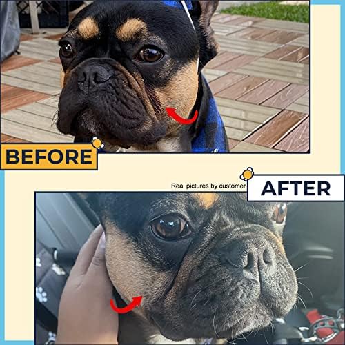 Paste for Bulldogs Wrinkle 2oz+ 50 Wrinkle Wipes French Bulldog