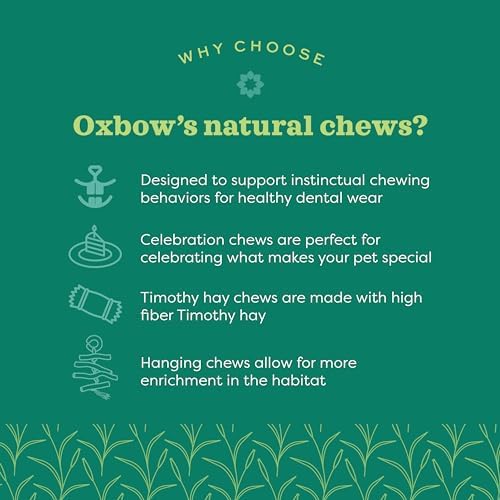 Oxbow Enriched Life Apple Stick Dangly, Rabbit Toys, Guinea Pig Toys, Enrichment for Bunny, Guinea Pig, Hamster, Rabbit, Chinchilla, Rat, Chinchilla Cage Accessories, Small Pet Accessories for Cage