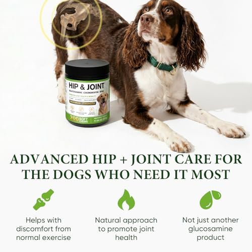 Hip Joint Supplement for Dogs 200 Count Chews Glucosamine Chondroitin MSM