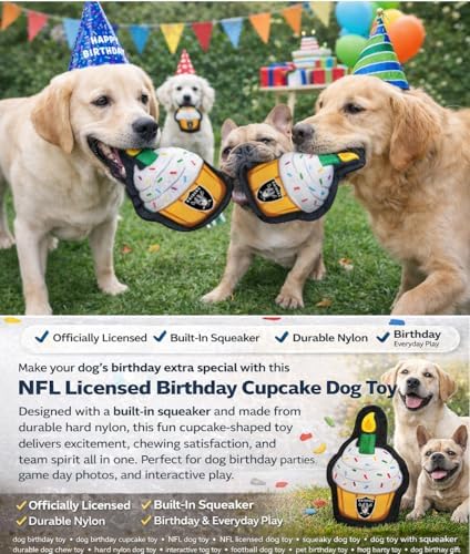 Pets First NFL Las Vegas Raiders Pet Birthday Cupcake Squeaker Toy - NFL Dog Birthday Party Set and Costume, Licensed Football Team Dog & Cat Birthday Cupcake Toys, Durable Toy for Puppies