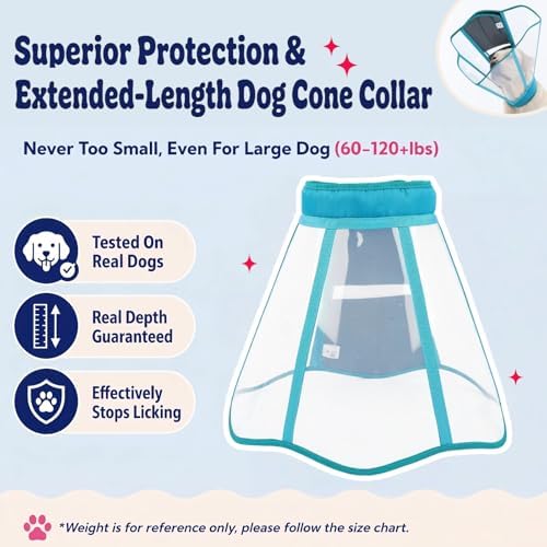 Soft Neck Pad - Hard Plastic Dog Surgery Recovery Cone Collar, Blue-Green L