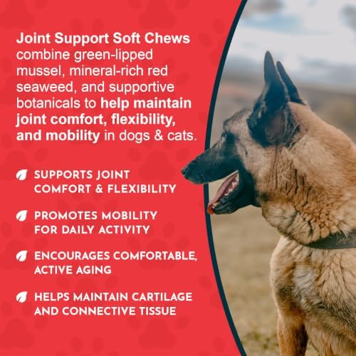 Animal Essentials Joint Supplement for Dogs & Cats, 60 Soft Chews