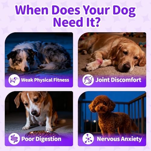 Dog Multivitamin Powder – Calm, Repair, Joint & Gut, Chicken, 75 Scoops