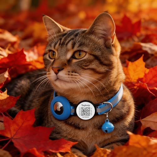 AirTag Holder Breakaway Cat Collar QR Code, Reflective Bell