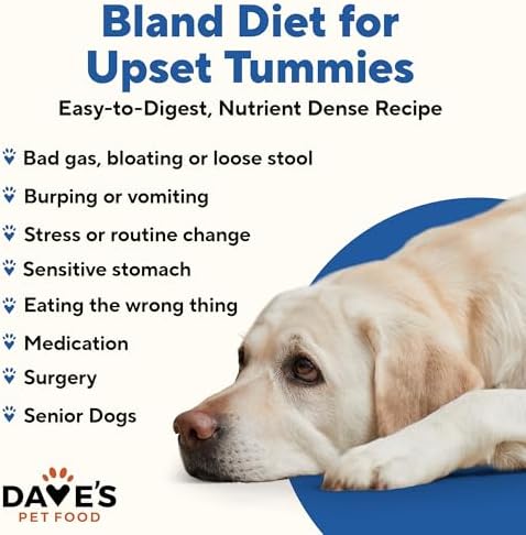 Dave's Pet Food Bland Diet Dog Food, Turkey & Rice, 13.2 oz, 12 pk