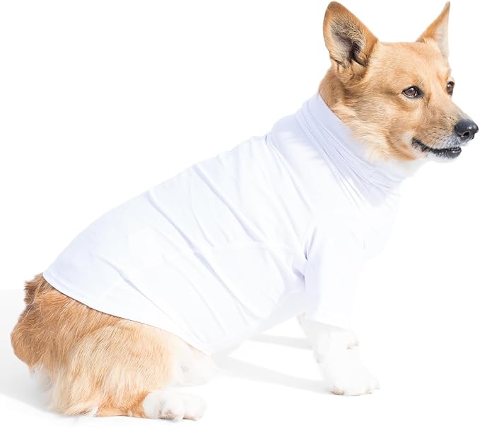 PlayaPup Dog Sun Shirt, USA Made (UPF 50+), True White, Small
