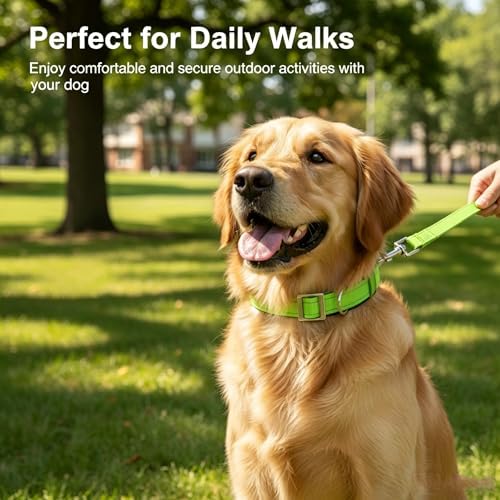 Reflective Dog Collar for XLarge Dogs Wide Padding 6 Holes Adjusta