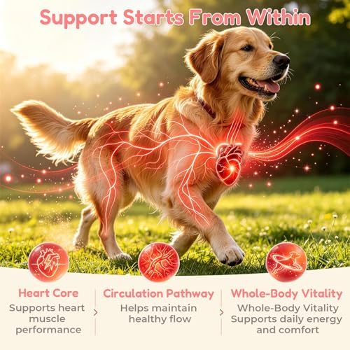 VUN Dog Heart Supplements–Senior Dogs Cardio Support Soft Chews