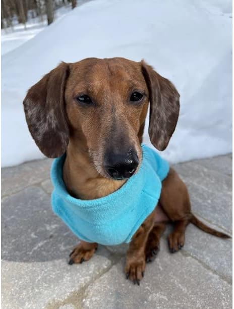 Gooby Zip Up Fleece Dog Sweater - Turquoise, 2X-Large - Warm Pullover Fleece Step-in Dog Jacket with Dual D Ring Leash for Small to Medium Dogs