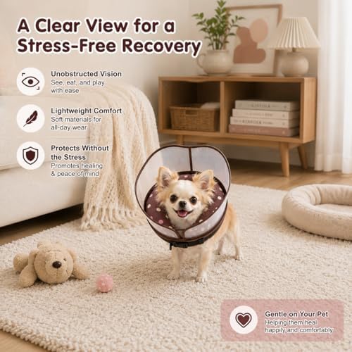 Avont 2-in-1 Dog Cone S Donut Shield