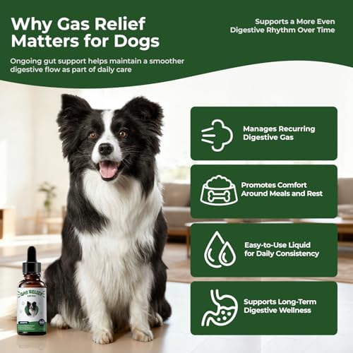 Gas Relief for Dogs Liquid Drops, Digestive Comfort & Gut Balance Support