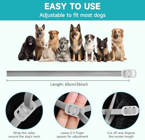 Flea and Tick Prevention for Dogs, 4-Pack Flea Collars, 32 Months, Grey