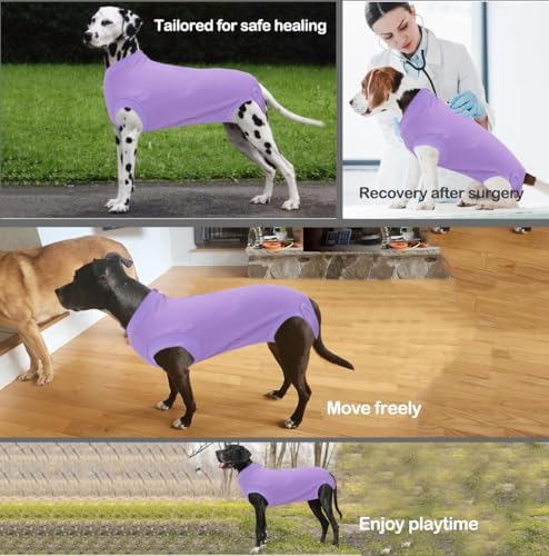 Recovery Suit for Female Dogs, Dog Cone Alternative After Spay