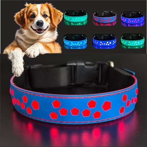 Personalized Light up Black Dog Collar with airtag Holder for Night Walk (Blue Collar 15 Modes Lighting, XL(19.7-23.6"))