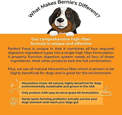 Bernie's Perfect Poop 4-in-1 Dog Digestion Supplement, Cheese, 30 oz