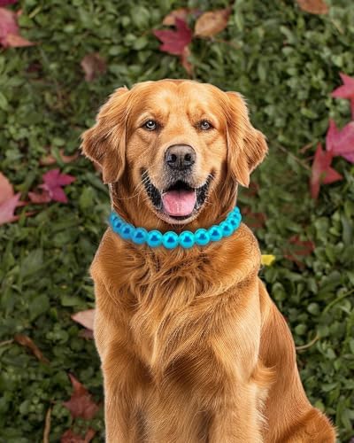 Chunky Pearl Dog Necklace (Beads 20mm),Elegant Classic Super Big Pearl Collar Necklace Accessories for Medium Large Dogs Occasions and Gatherings (Turquoise, 4XL(Neck Girth 22.5''-25''))