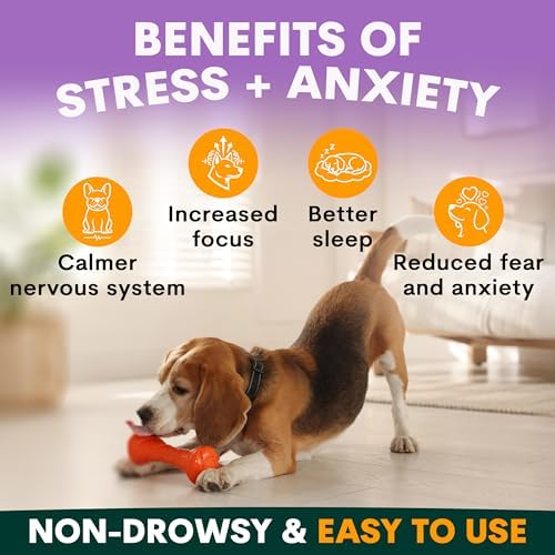Petz Park Dog Calming Supplement for Stress and Anxiety