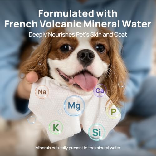 HICC PET Dog Wipes for Dogs & Cats, French Mineral Water, 440 Count
