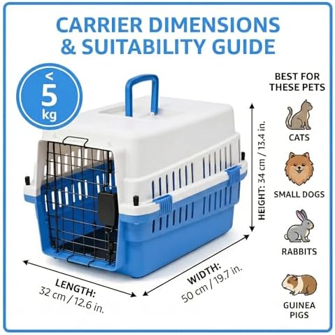 Hard-Sided Pet Carrier for Cats and Small Dogs, 20" Sturdy Travel Kennel with Secure Wire Door & 360° Ventilation, Portable Plastic Crate for Vet Visits & Car Travel (White/Blue)