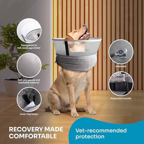 Dog Inflatable Neck Collar - Inflatable E Collar for Dogs - Comfortable Elizabethan Cone with Detachable Anti-Licking Shield - Dog Donut Cone - Doughnut for Dogs After Surgery (Grey, M)