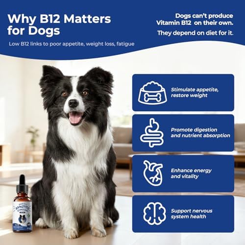 Appetite Stimulant for Dogs, Liquid Vitamin B12 & Methylcobalamin Drops