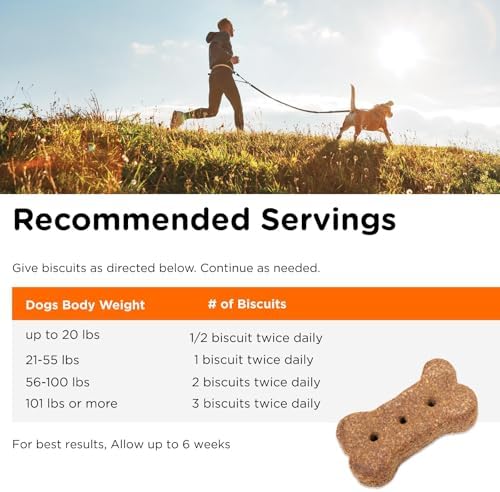 Nutri-Vet Skin & Coat Biscuits, Dog Fish Oil, Dog Skin Coat, 16oz (2 Pack)