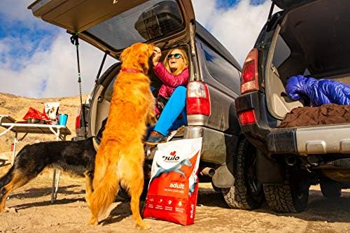 Nulo Frontrunner Dry Dog Food for Adult Dogs - Grain Inclusive Recipe with Turkey, Trout, & Spelt - All Natural Pet Foods with High Taurine Levels - Animal Protein for Lean Strong Muscles