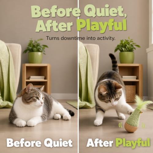 2-Pack Interactive Self-Righting Wobble Cat Toy with Feather (Green)