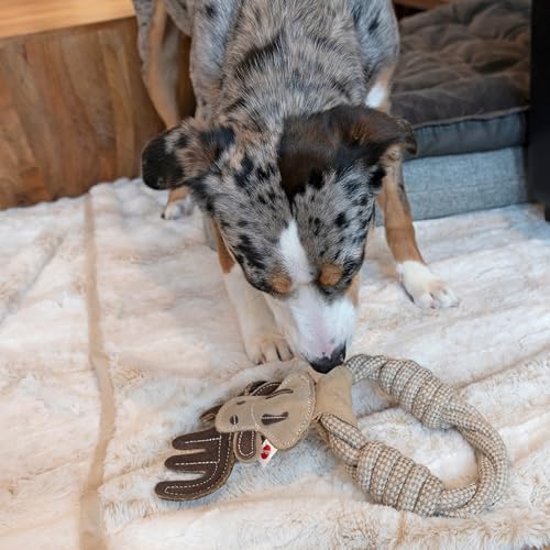 SPOT Dura-Fused Leather Animal Rings - Rope Dog Toy, Made with Real Leather and Jute Fabric, Durable Rope Ring is Great for Tugging and Chewing - 11in, Assorted Styles, 1 Piece