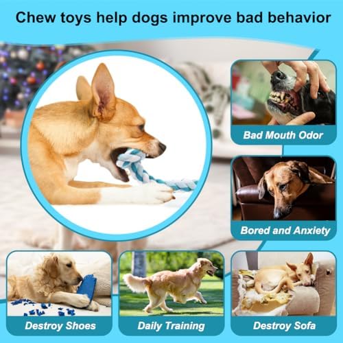 SZEE Dog Rope Toys, 24 in 3 Knots Chew Rope for Medium and Large Dogs, Natural Cotton Pet Pull Toy for Tug of War and Teeth Cleaning (Blue)