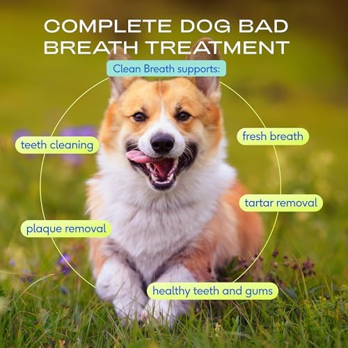 Native Pet Clean Breath Dog Dental Care - Teeth Cleaning for Fresh Breath, Clean Teeth & Healthy Gums - Tartar and Plaque Remover - Dog Breath Freshener - 120 Scoops