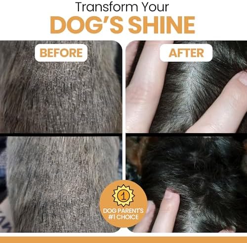 Omega 3 Fish Oil for Dogs, Chicken Flavor - 360 Skin and Coat Soft Chews
