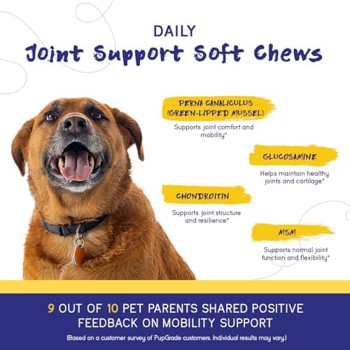 PupGrade Joint Support for Dogs, Peanut Butter Flavor - 360 Soft Chews