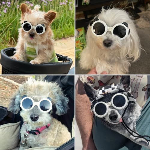 Dog Goggles for Small Dogs, Cute Cat Sunglasses, Anti-UV Windproof Dustproof Anti-Fog Pet Goggles with Adjustable Strap for Puppy Kitten Small Breeds, White