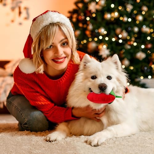 POPETPOP 2Pcs Dog Plush Squeaky Toys - Soft Strawberry Shape Interactive Puppy Chew Toy Stuffed Strawberry for Dogs Teething, Playing, Chewing for Holiday Christmas