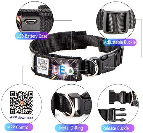Leadleds Programmable Dog Collar Flashing Light Up Rechargeable Pet Dog Safety Collar Glow in The Dark Light-up Neck Loop - Blue LED