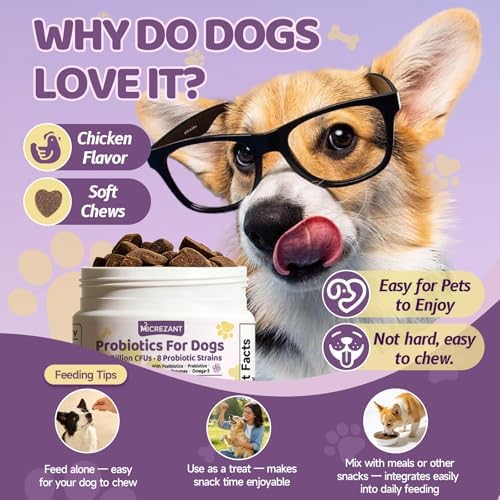 Probiotics for Dogs with Feeding Tweezers, 10 Billion CFUs Chews for Gut & Digestive Health, Itchy Skin & Ears, Diarrhea Relief & Immune Support with 8 Probiotic, Prebiotics, Chicken, 120 Ct/300g