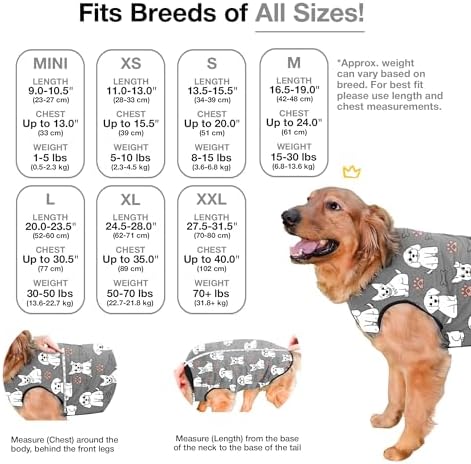 BellyGuard Dog Surgery Recovery Suit, Male Female After Spay Neuter Onesie
