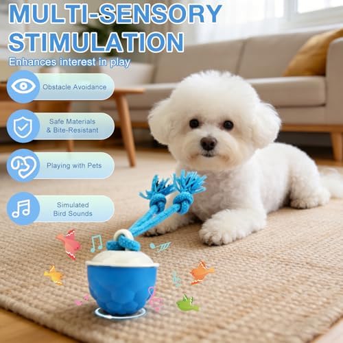Interactive Dog Ball Toy (3.35x2.76in), 2026 Upgraded Automatic Rolling Ball with 3 Modes, USB Rechargeable, Smart Motion Pet Ball, for Small Medium Large Dogs Indoor Outdoor Play (Blue)