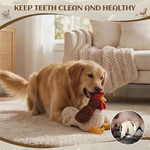 ALL FOR PAWS Chicken Squeaky Dog Toy, Plush Stuffed Animal Toy for Small Medium Large Dogs, Puppy Chew Toy with Squeaker & Crinkle, Interactive Rooster Pet Toy for Boredom Relief & Training