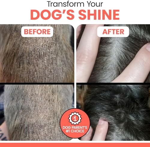 Wild Alaskan Salmon Oil for Dogs & Cats 16 oz - Omega 3 Dog Fish Oil, EPA DHA for Skin & Coat, Itch Relief, Joint and Heart Health - MSC Certified, Made in USA, Pump Bottle - Chew + Heal