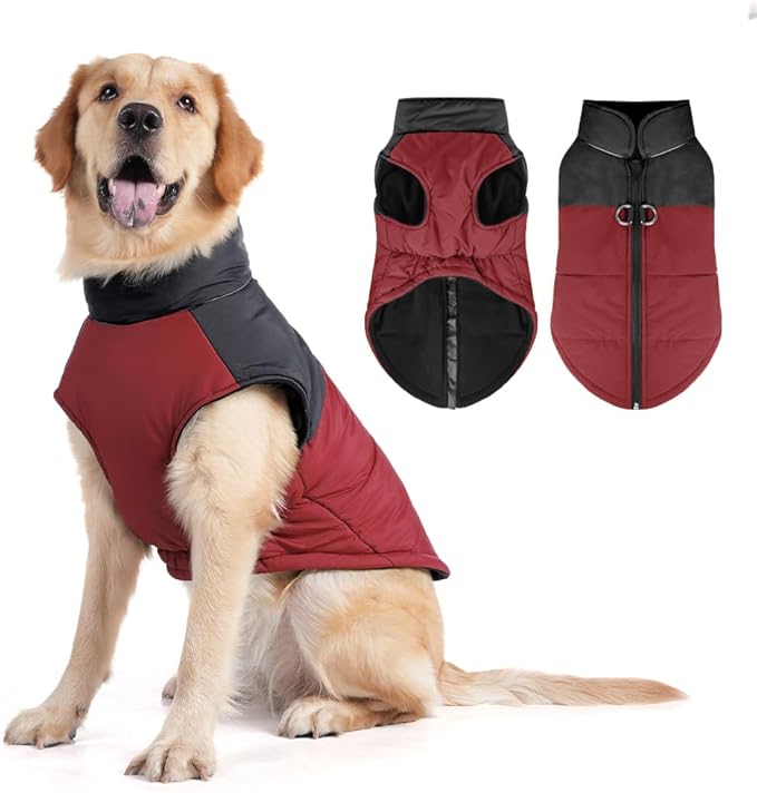 Dog Coat, Waterproof Dog Winter Jacket in Puppy Cold Weather Windproof Coats Reflective Pet Vest, Zip-Up Cold Weather Coats for Small Medium Dogs (Red and Black, M)