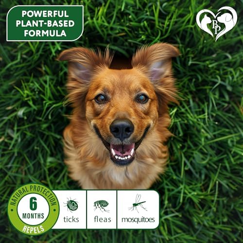 Natural Flea & Tick Collar for Dogs - 6 Months Control of Best Prevention & Safe Treatment - Anti Fleas and Ticks Essential Oil Repellent (2 Count (Pack of 1))