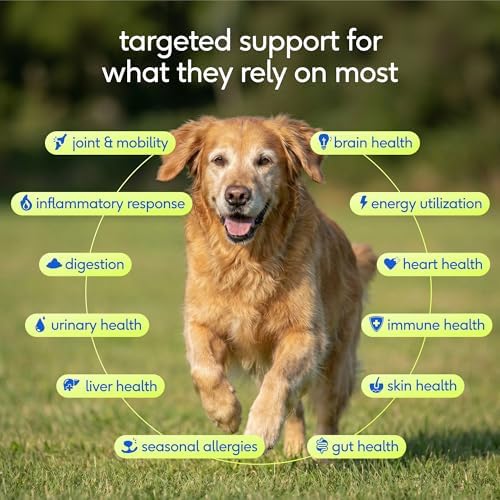 Native Pet Senior Daily Dog Vitamins & Supplements – 12-in-1 Dog Multivitamin Powder for Senior Dogs – Supports Mobility, Cognition, Digestion, Immune Health & More – 60 Scoops