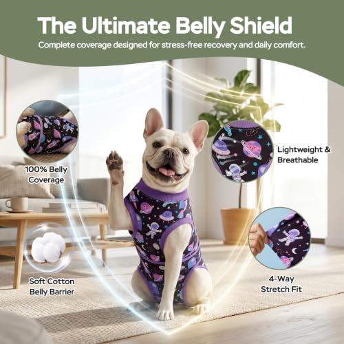 PetWarm Dog Surgical Suit, Post-Surgery Dog Bodysuit, Cosmic, Purple, L